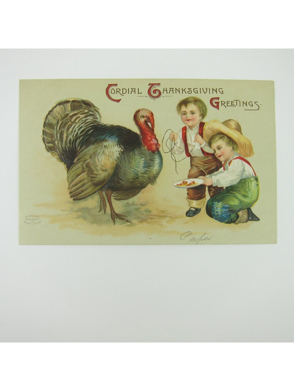 Thanksgiving Postcard Farm Boys Feed Wild Turkey Embossed Germany Antique